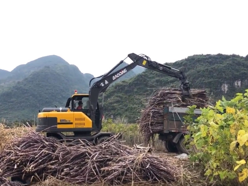 寶鼎抓甘蔗機(jī)